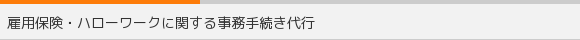 ٗpیEn[[NɊւ鎖葱s